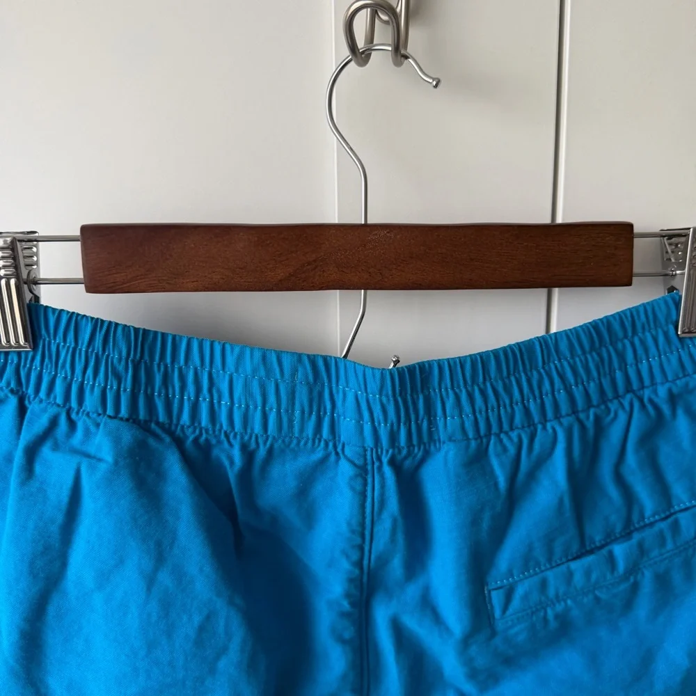 Everlane‎ The Organic Cotton Linen Blend Cargo Shorts Men's Teal Blue small NWT